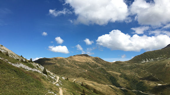 view